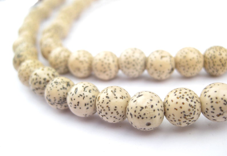Lotus seed bead