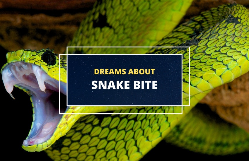 Snake bite meaning in dreams
