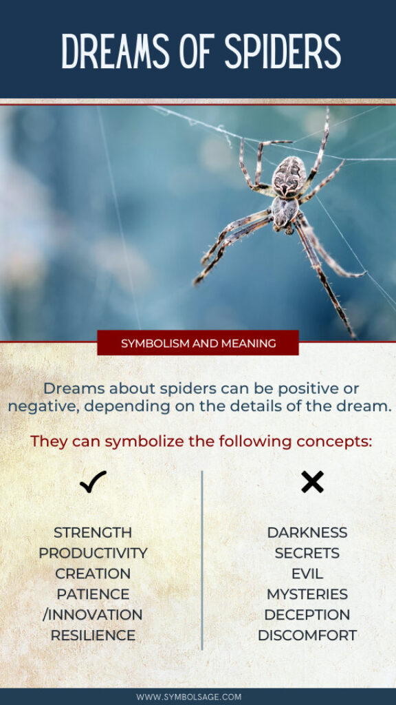 Dreams of Spiders Symbolism and Meaning Symbol Sage