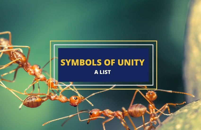 Unity Symbols
