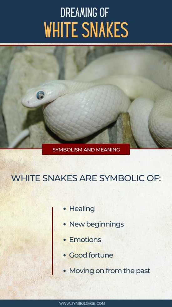 white snake dream meaning
