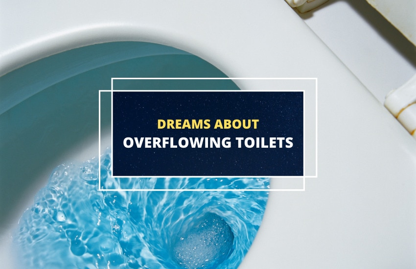 Dreams about overflowing toilets