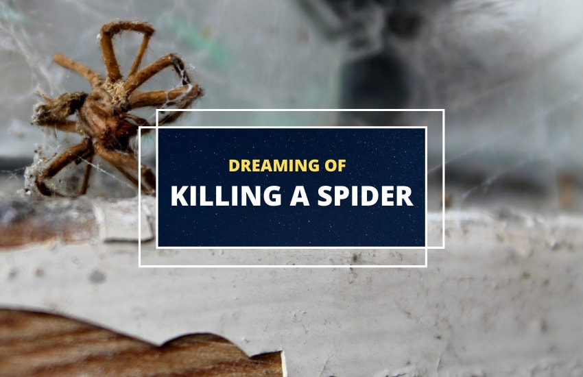 Dreams of killing a spider