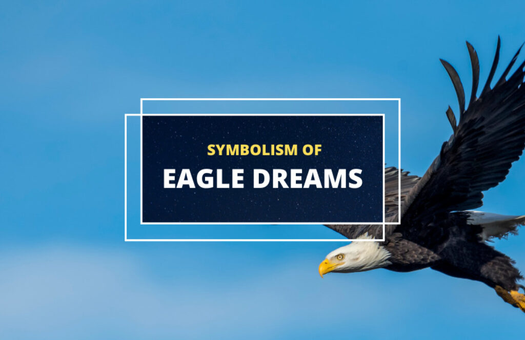 Dreaming of an Eagle What It Means Symbol Sage