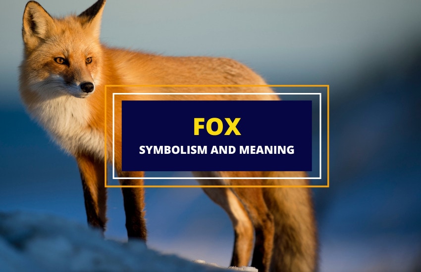 Fox symbolism and meaning