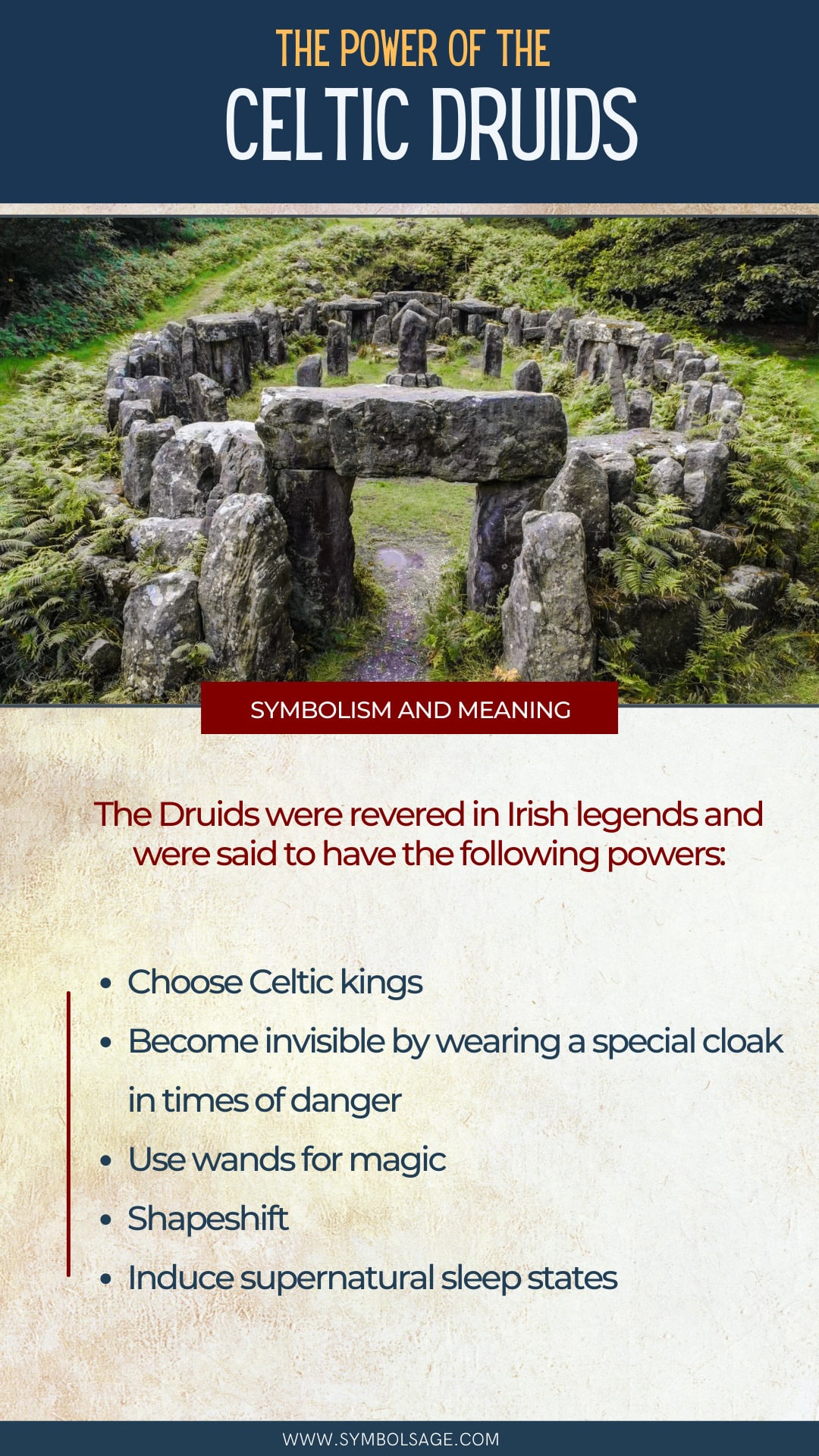 Irish druids