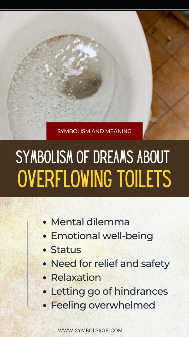 Dreaming About an Overflowing Toilet Symbol Sage