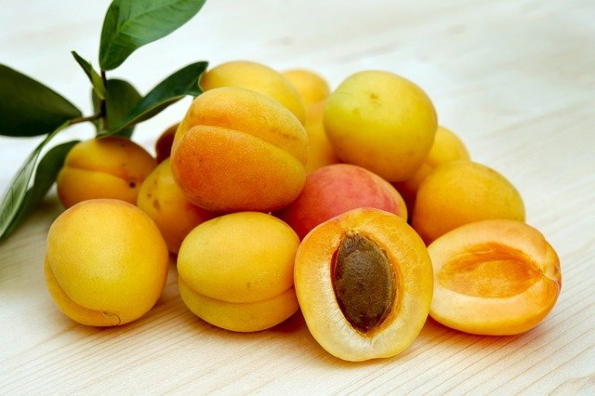 Dreaming About Apricots What Does It Really Mean? Symbol Sage