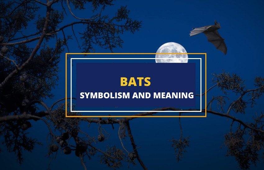 Symbolism of Bats