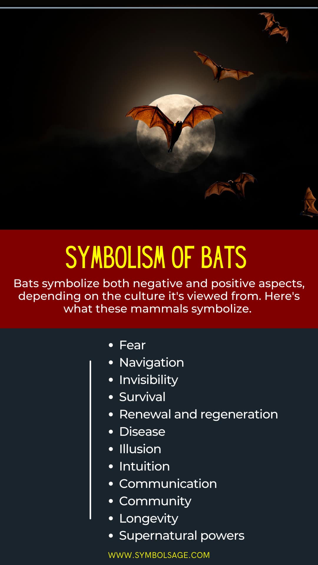 The Surprising Symbolism of Bats - Symbol Sage