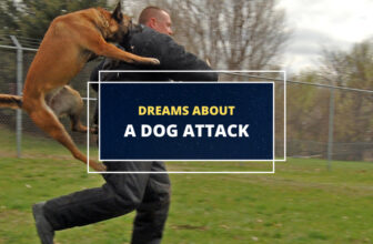 Dog attack dream