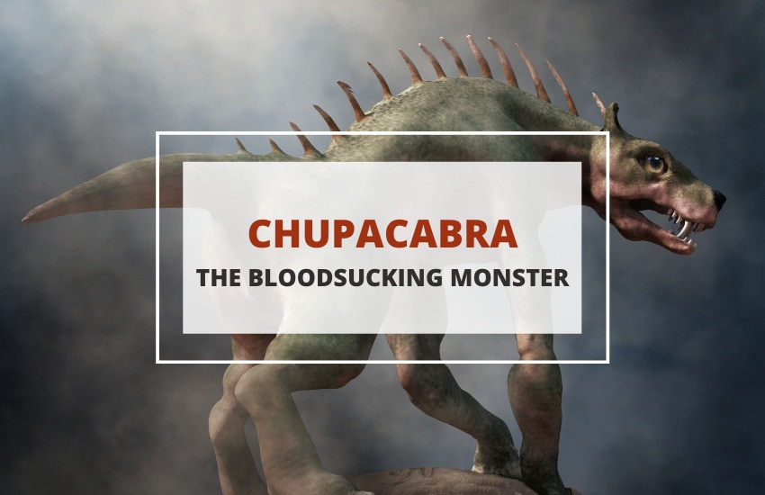 Chupacabra Latin American monster myth