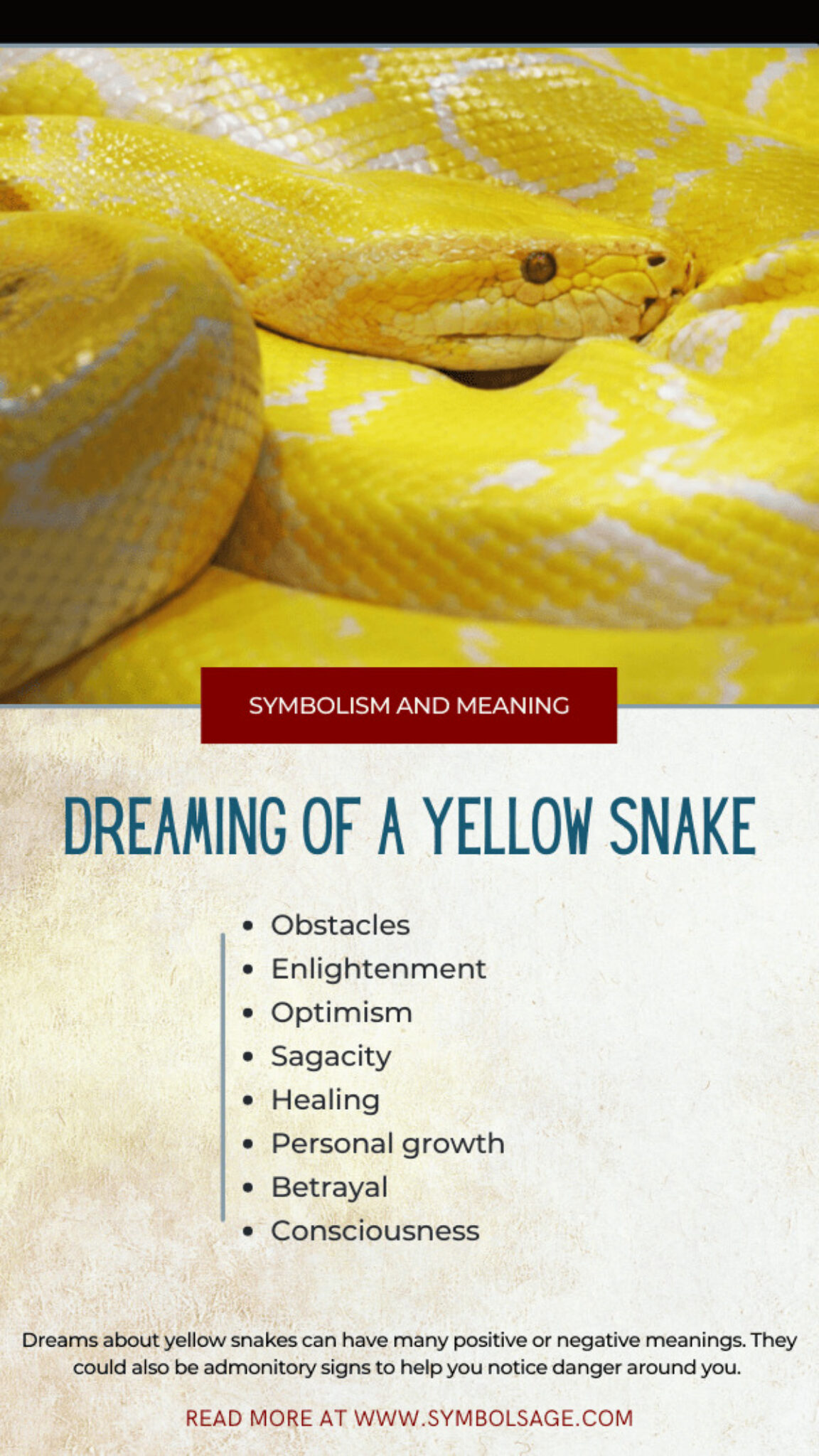 Dreaming about Yellow Snakes What Do They Mean? Symbol Sage