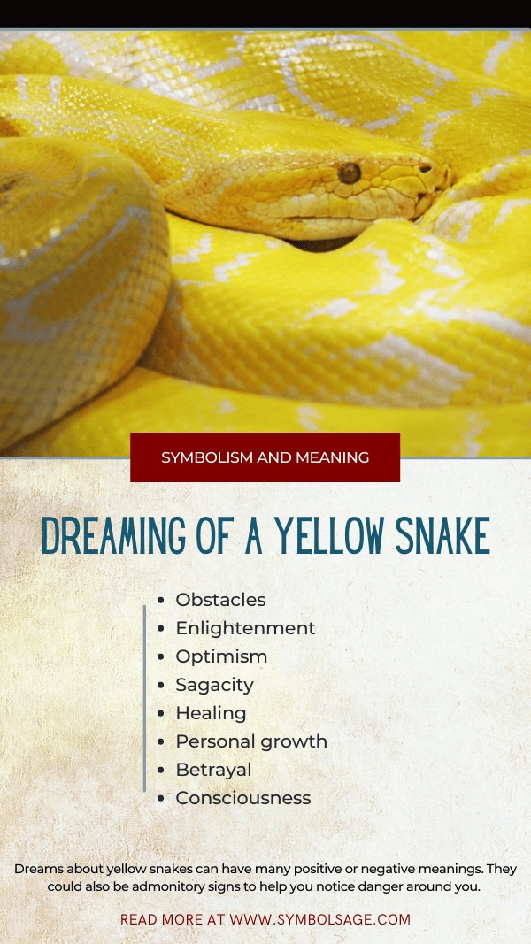 Yellow snake dream meaning