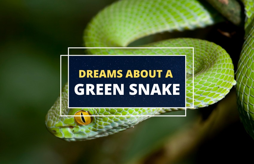 what do dreams about green snakes mean