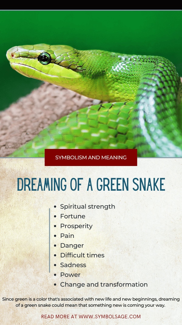dreaming of green snakes 