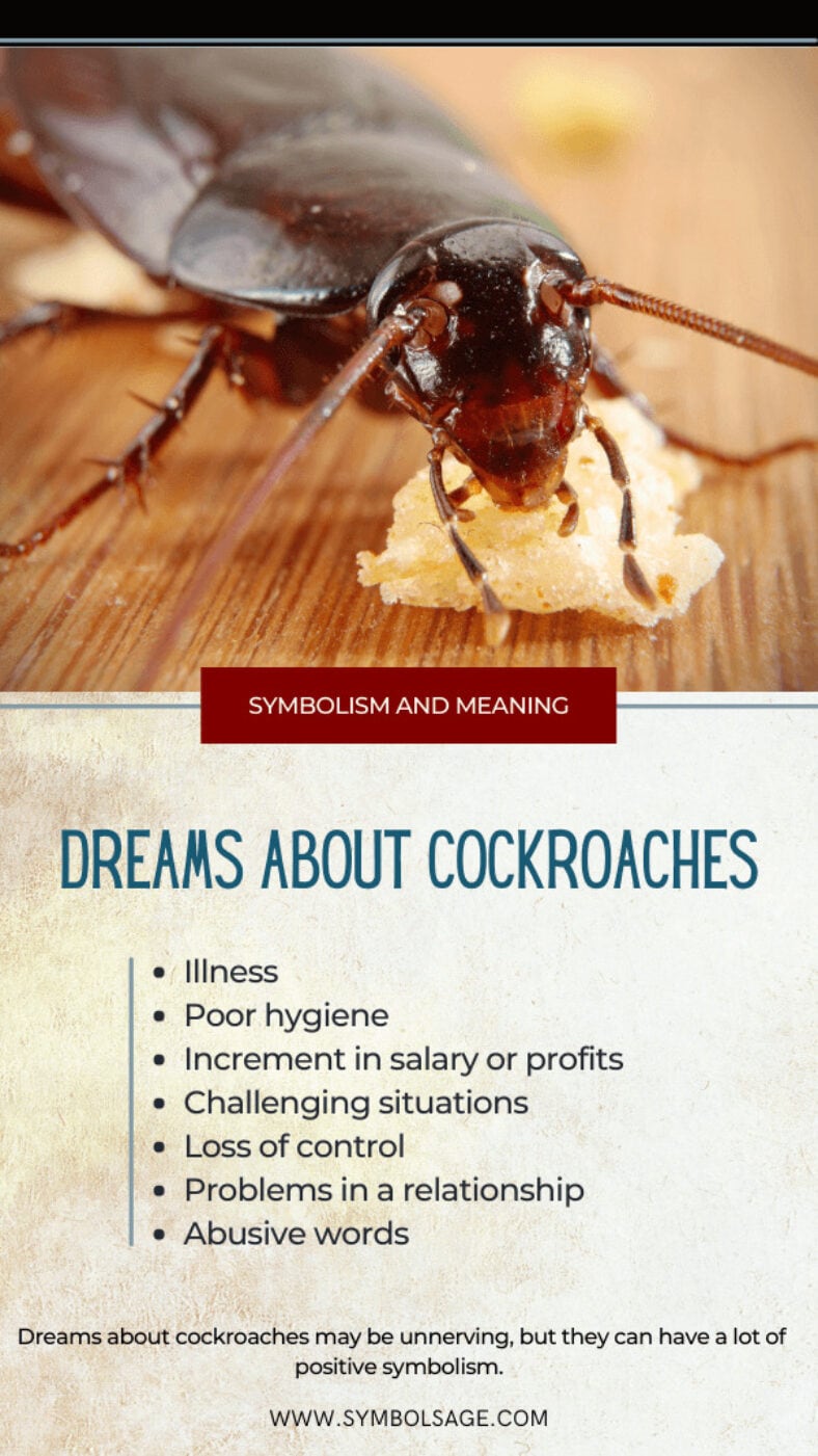 Dreaming about Cockroaches What Could It Mean? Symbol Sage