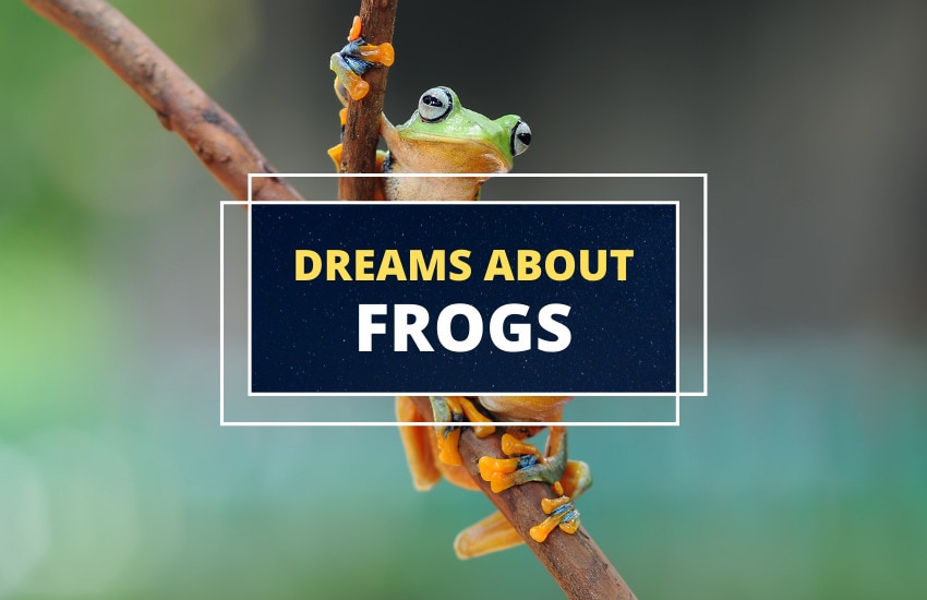 Dreams about frogs