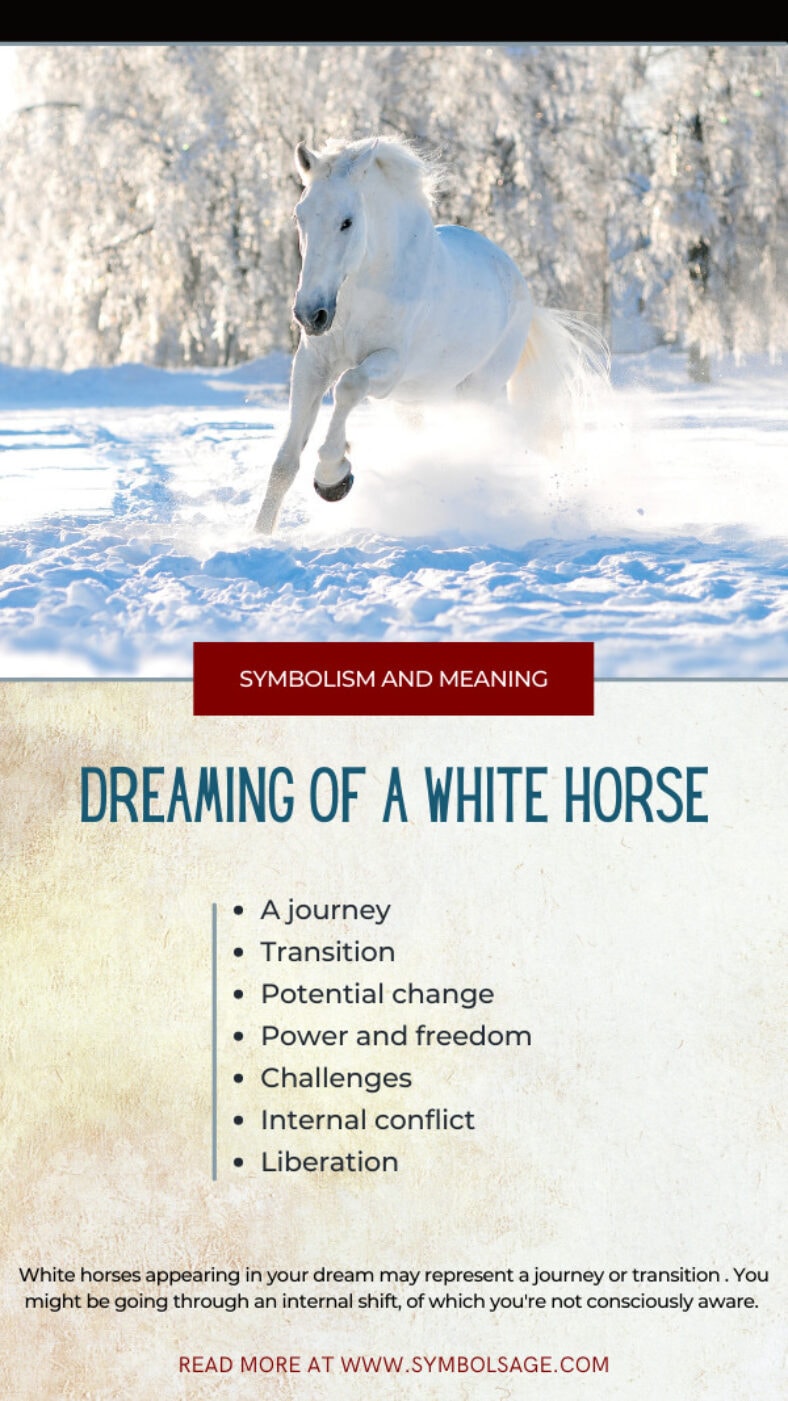 Dreaming About a White Horse Meaning and Symbolism Symbol Sage
