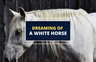 dreaming of a white horse