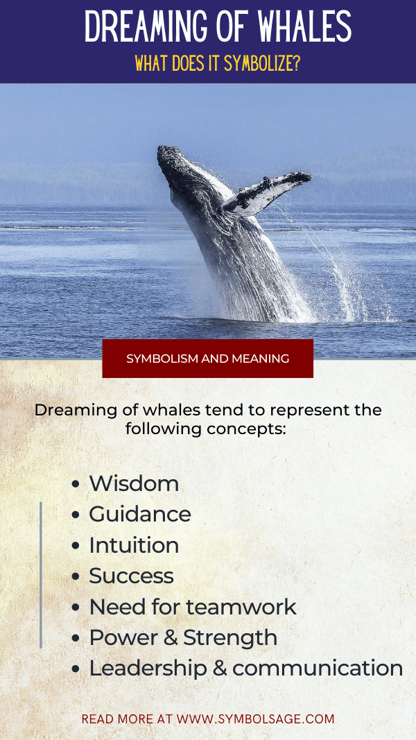 meaning of whale dreams