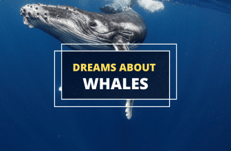 whale dream meaning