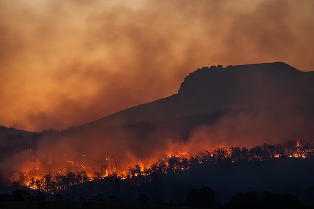Bushfire natural disaster