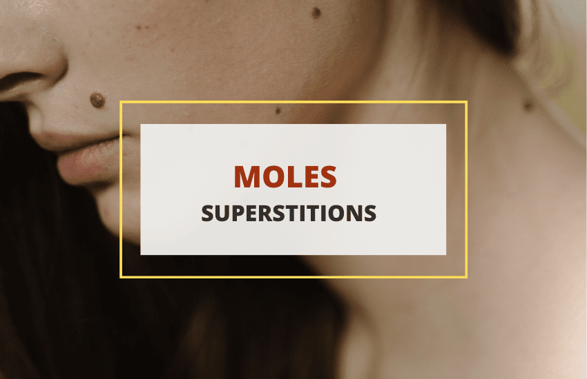mole meaning and superstition
