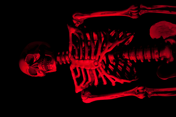 Red skeleton symbol