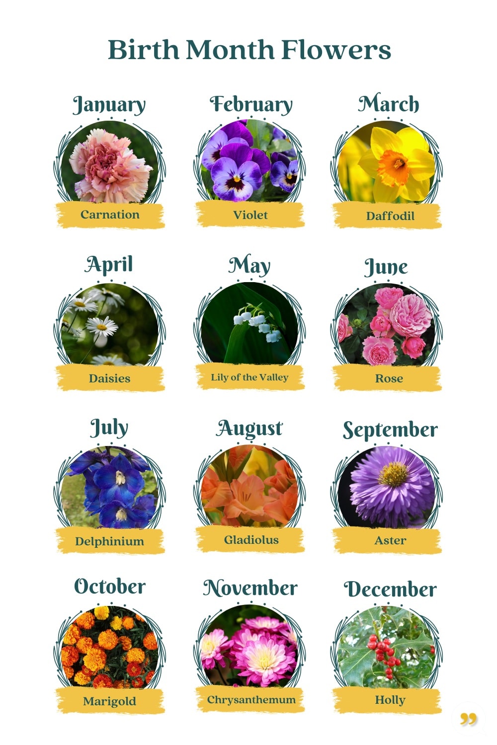 Flowers for every birth month