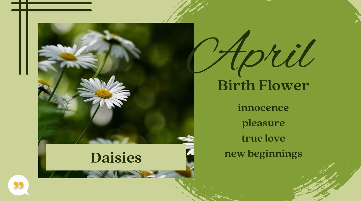 Daisies April Birth Month