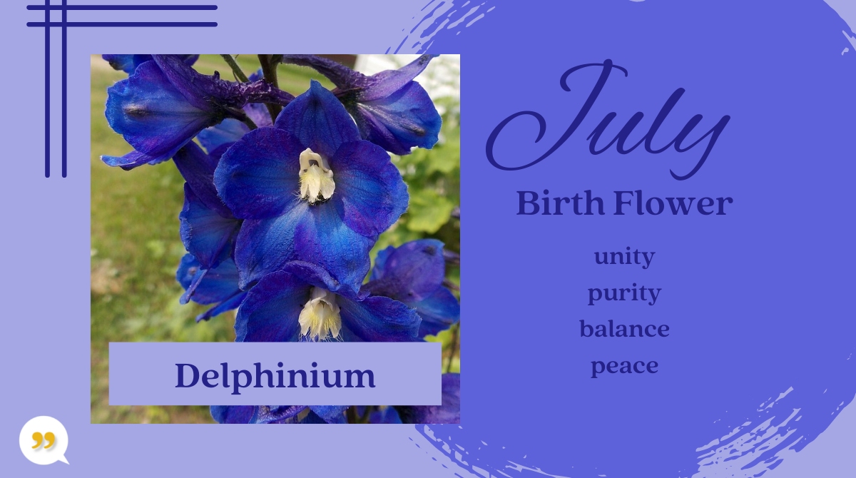 Delphinium July Birth Month