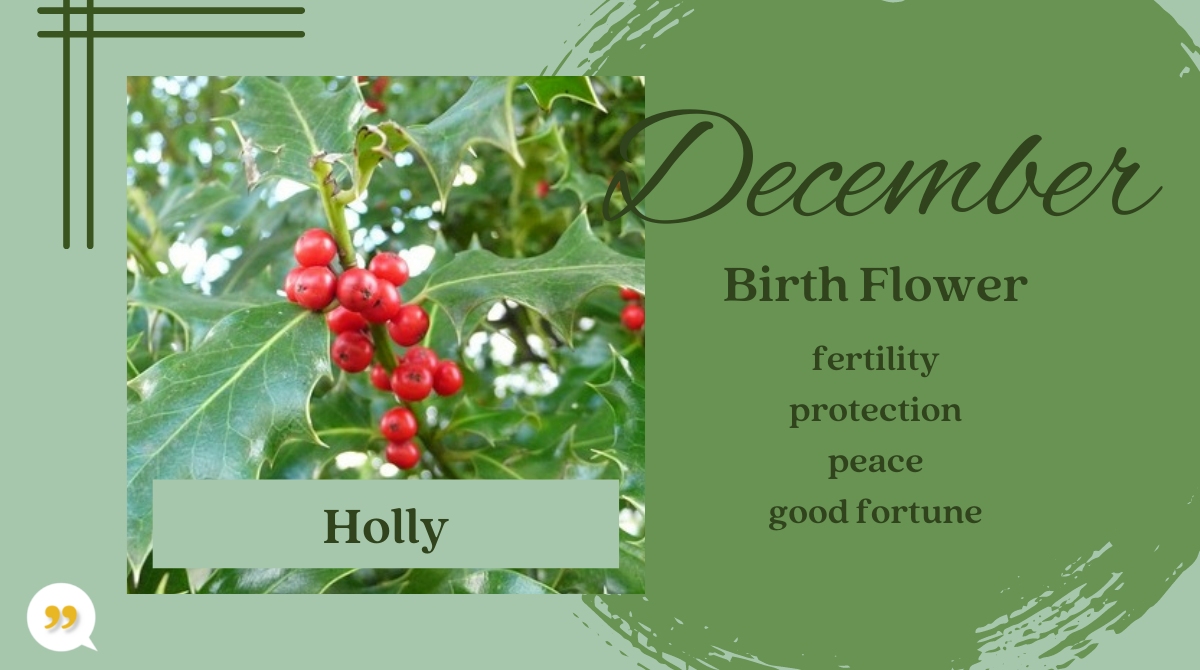 Holly December Birth Month