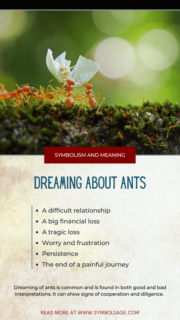 Sonhar com formiga significado