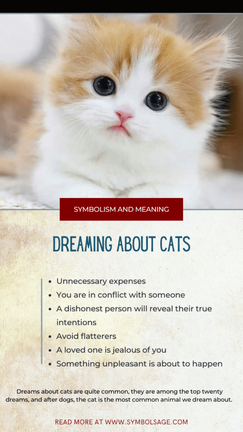 Dreaming About Cats What Could It Mean? Symbol Sage