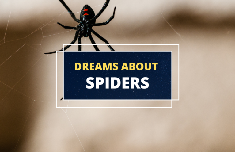 The Meaning of Spiders in Dreams - Symbol Sage
