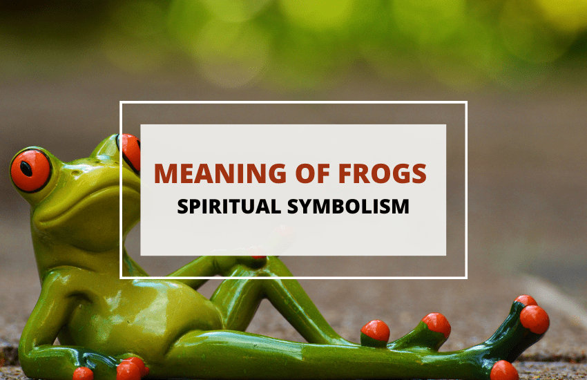 Spiritual Meaning and Symbolism of Frogs - Symbol Sage
