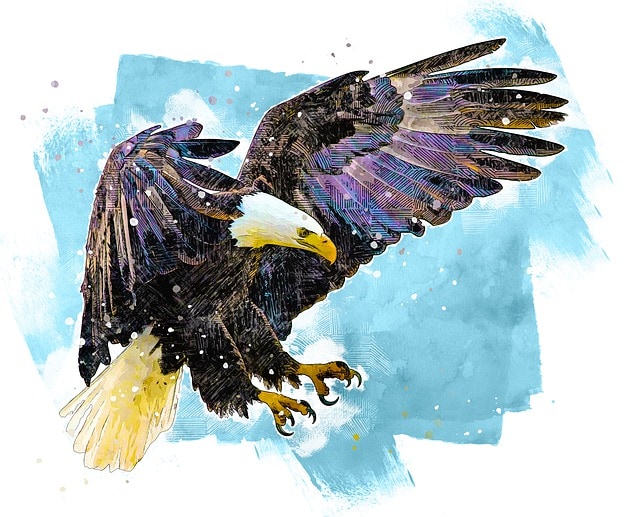 eagle traditional american tattoo