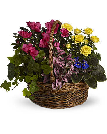 Blooming garden basket with azalea