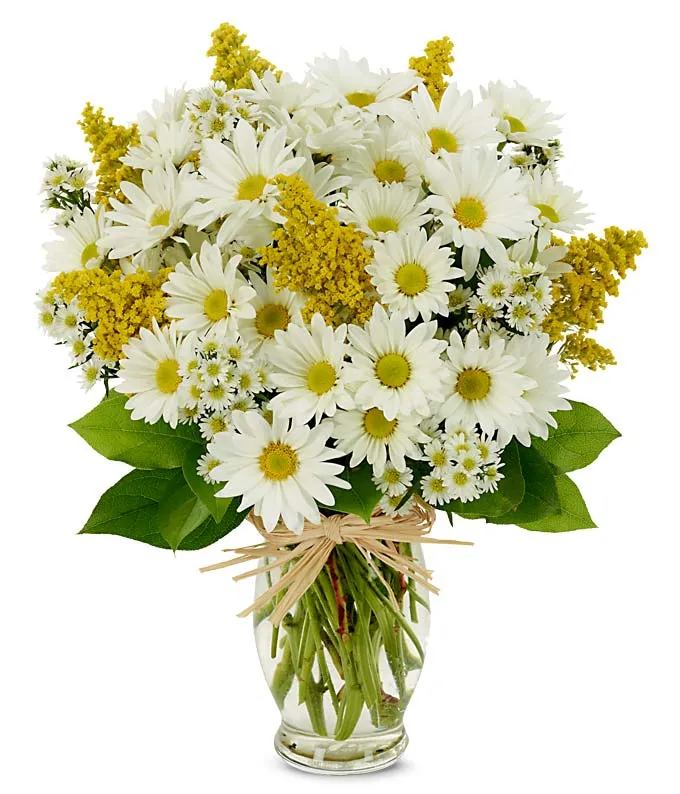 Daisy delight bouquet