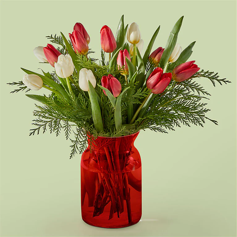 Noel bouquet with red and white Tulips