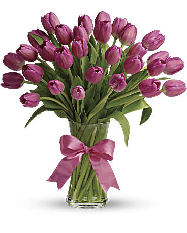 Precious pink tulips