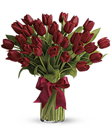 Radiantly red tulips