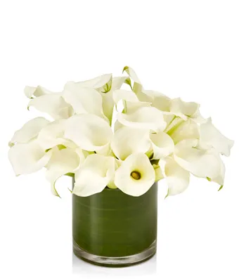 White mini calla lilies