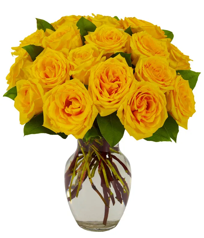 Yellow rose bouquet