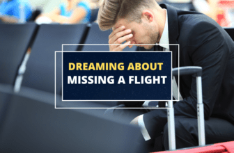 Dreams of Missing a Flight