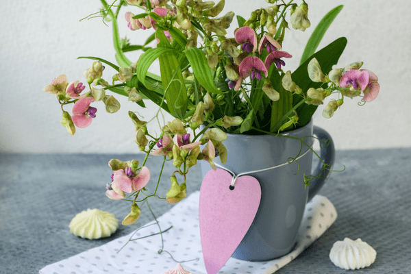 sweet peas in a vase
