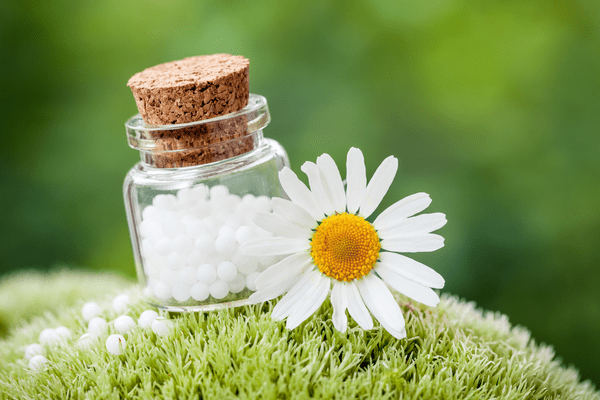 uses of daisies