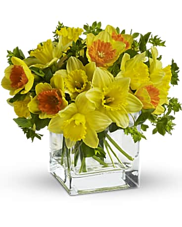 yellow narcissus in a vase
