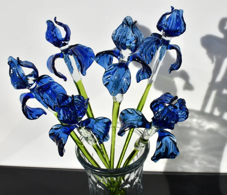 Blue Glass Iris Flowers